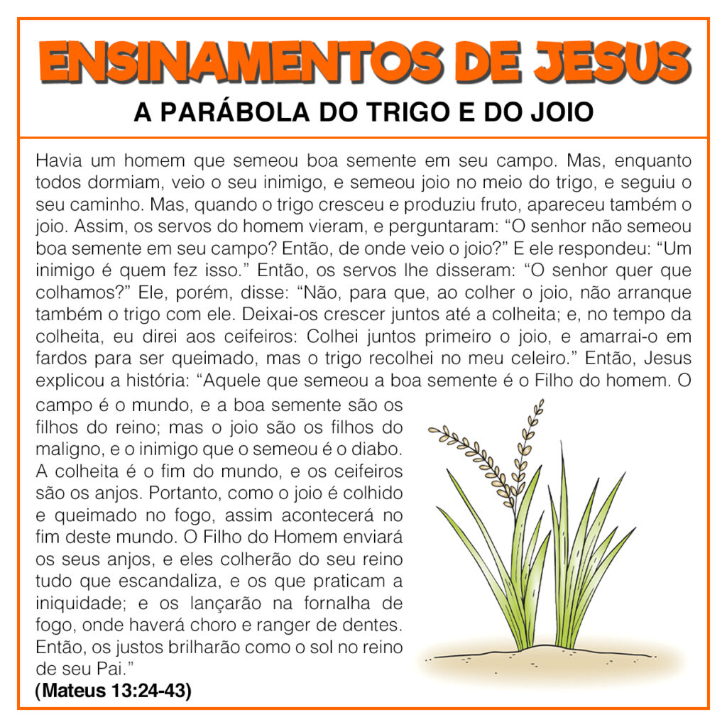 A parábola do trigo e do joio » Jesus Kids